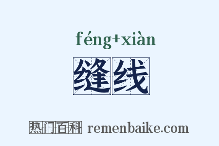 缝线是什么意思的图片